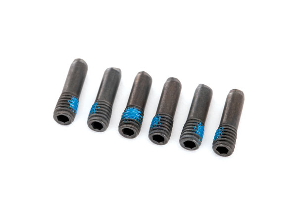 Screw Pins 3x10 mm (6)