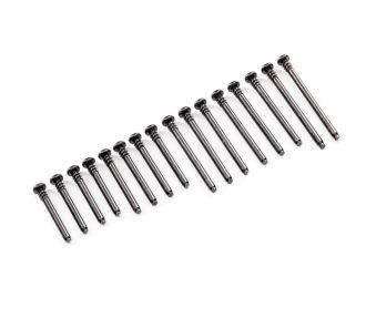 Suspension Screw Pin Set