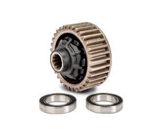 Complete Rear Sand Car Differential with Bearings