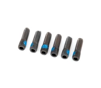 Screw Pins 3x10 mm (6)