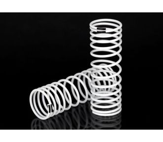 SPRINGS (FRONT) (2)