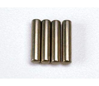PINS