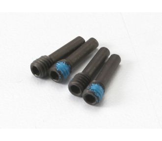 SCREW PINS