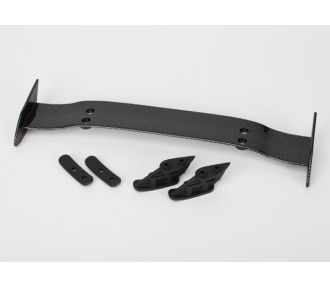 WING (EXOCARBON)/ WING MOUNTS