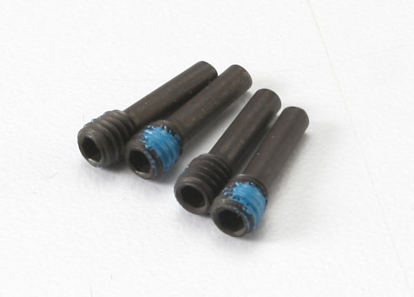 Screw Pins 4x13 mm (4) Screw Pins 4x13 mm (4)