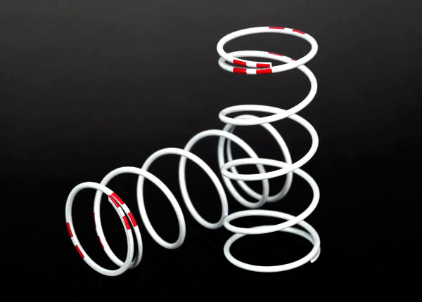 1/10 Long GTR Springs (0.810-Rate Pink Stripe) (2)
