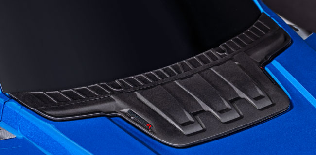 Molded Body Reinforcements